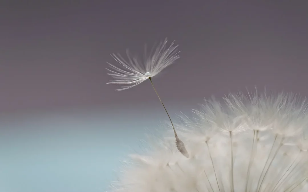 Crise du milieu de vie : quand vos anciens repères lâchent