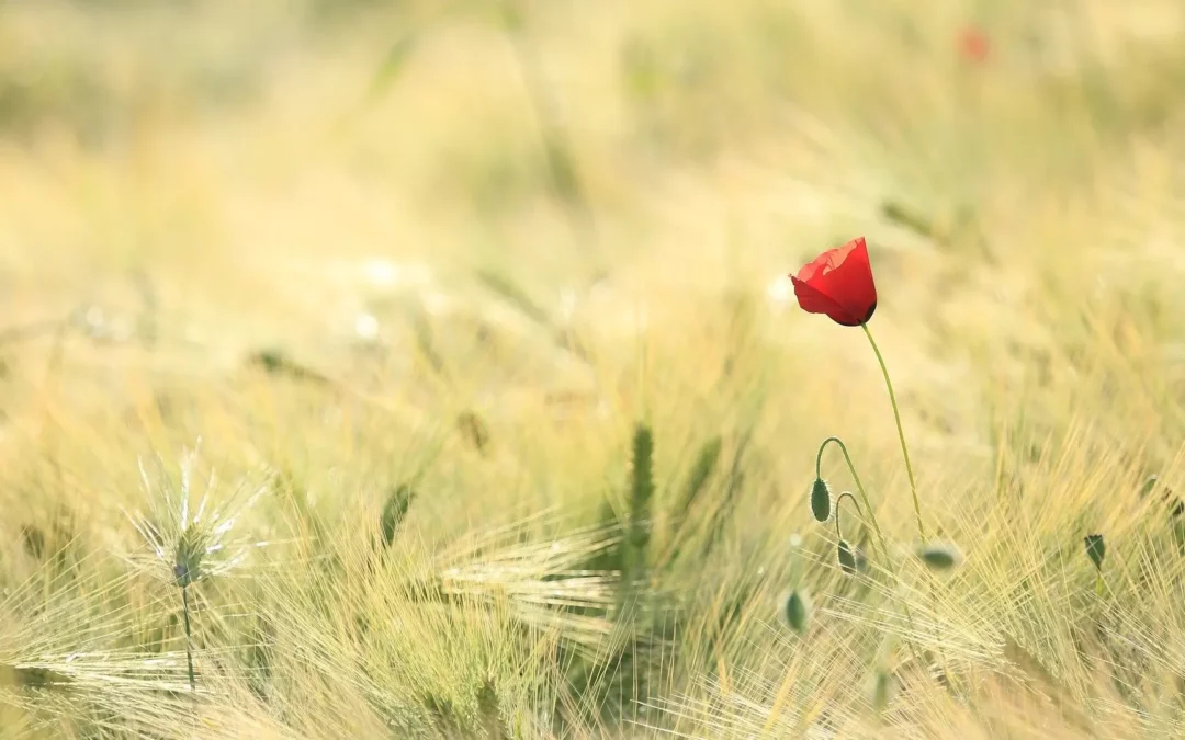 Fatigue persistante : quand le corps ne demande pas seulement du repos